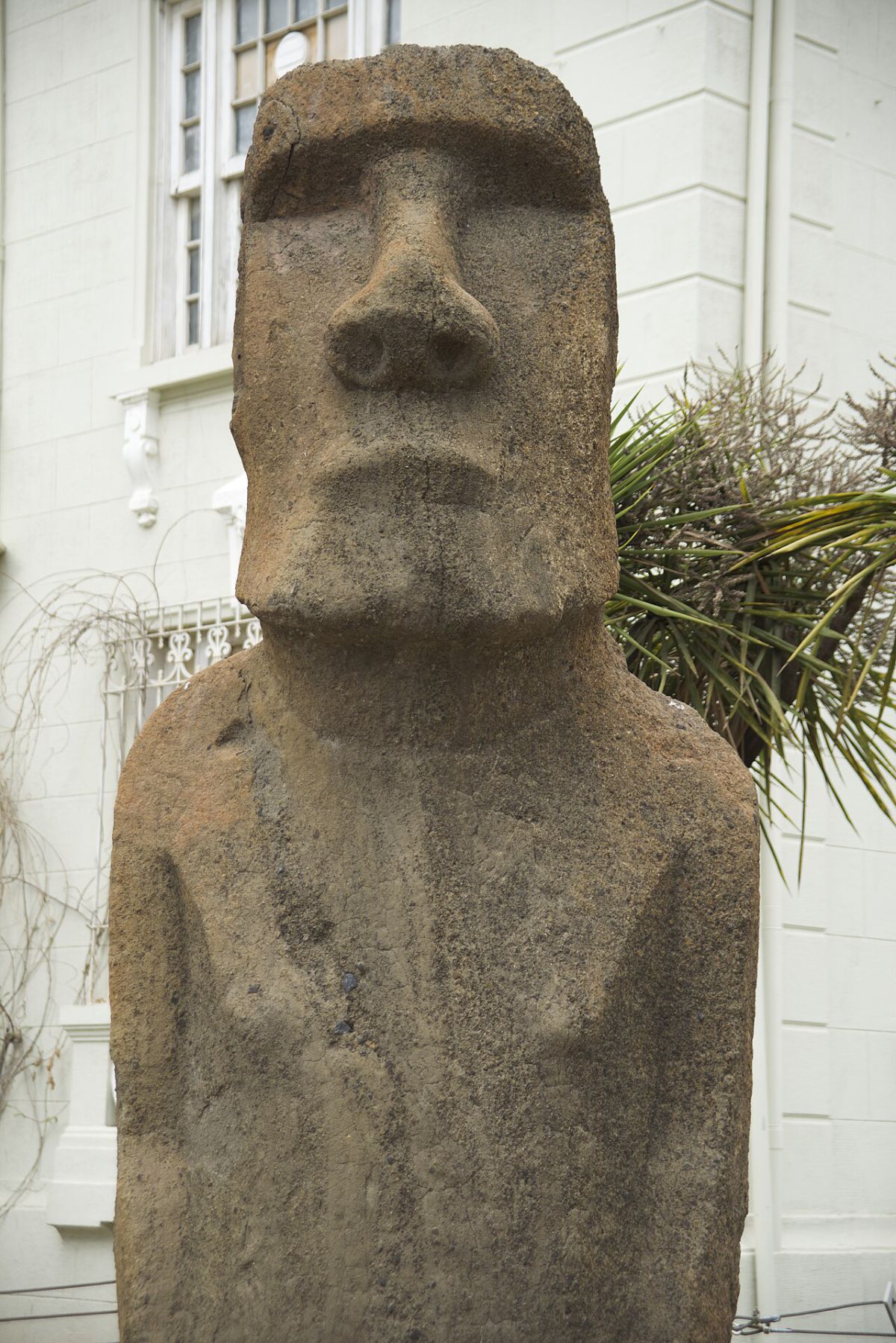 Museo de Arqueología e Historia Francisco Fonck